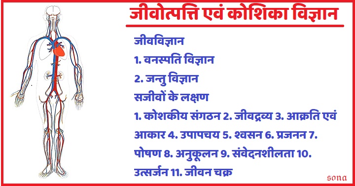 जीवोत्पत्ति एवं कोशिका विज्ञान , जीव विज्ञान , सजीवों के लक्षण 