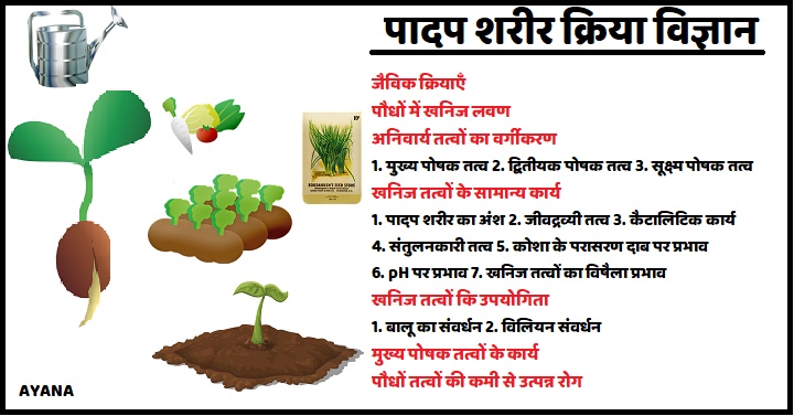 पादप शरीर क्रिया विज्ञान , पौधों में खनिज लवण , अनिवार्य तत्वों का वर्गीकरण , खनिज तत्वों के सामान्य कार्य , आवश्यक पोषक तत्वों का विवरण , खनिज तत्वों कि उपयोगिता , मुख्य पोषक तत्वों के कार्य 