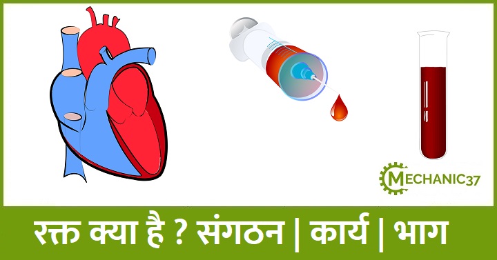 रक्त क्या है
